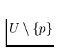 $U \setminus \{ p \}$
